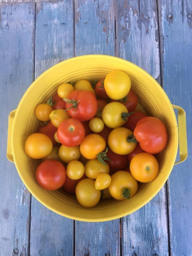 Kellerstoeckl Am Veganen Bio-Lebenshof "Varm - Die Vegane Farm" Sulb Eksteriør bilde